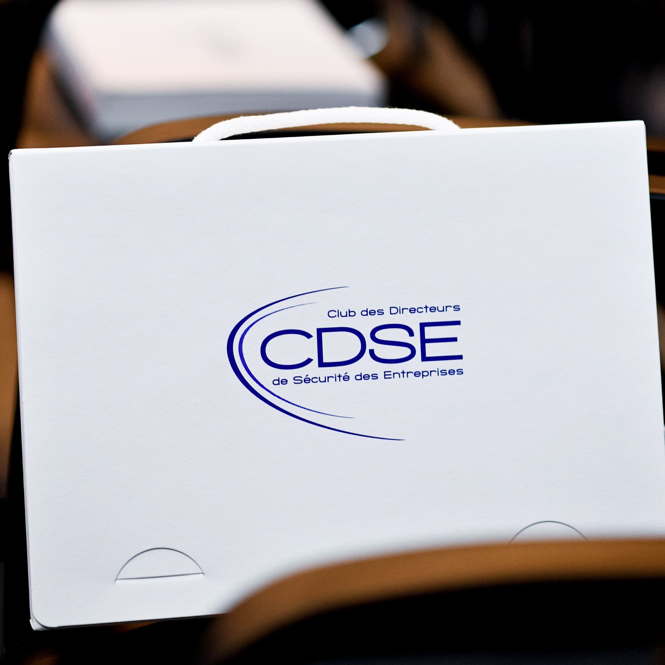 Colloque annuel 2019 du CDSE : les inscriptions sont (déjà) ouvertes